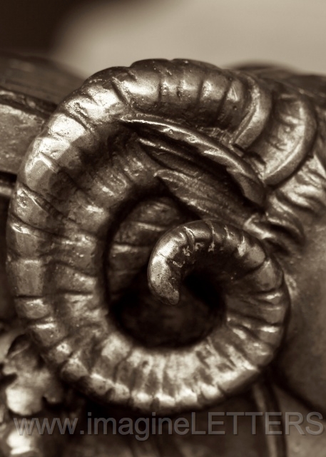 Wall_Art_Alphabet_Photography_Art_ 676.jpg